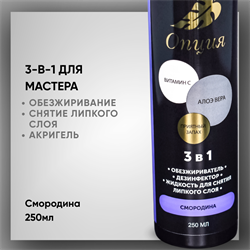 Обезжириватель-дезинфектор, жидкость для снятия липкого слоя 3 в 1 (Смородина) 250мл 36910