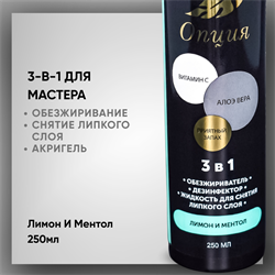 Обезжириватель-дезинфектор, жидкость для снятия липкого слоя 3 в 1 (Лимон и ментол) 250мл 36905