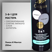 Обезжириватель-дезинфектор, жидкость для снятия липкого слоя 3 в 1 (Лимон и ментол) 250мл 36905